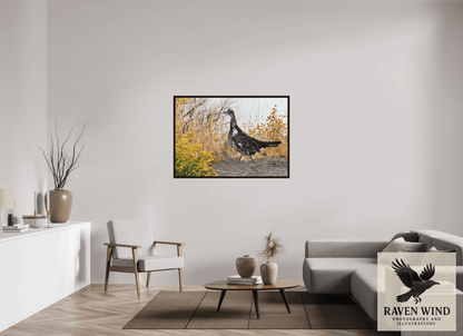 Raven Wind Photography & Illustrations-Grounded Grace - a Wild Grouse Fine Art Wildlife Print -