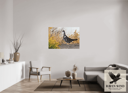 Raven Wind Photography & Illustrations-Grounded Grace - a Wild Grouse Fine Art Wildlife Print -