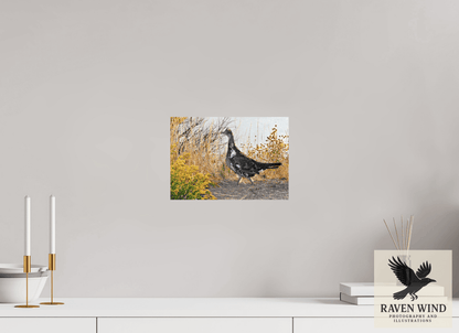 Raven Wind Photography & Illustrations-Grounded Grace - a Wild Grouse Fine Art Wildlife Print -