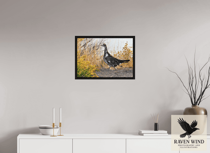 Raven Wind Photography & Illustrations-Grounded Grace - a Wild Grouse Fine Art Wildlife Print -