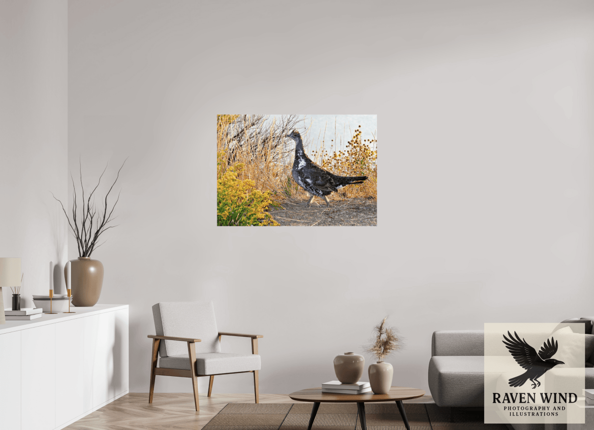 Raven Wind Photography & Illustrations-Grounded Grace - a Wild Grouse Fine Art Wildlife Print -