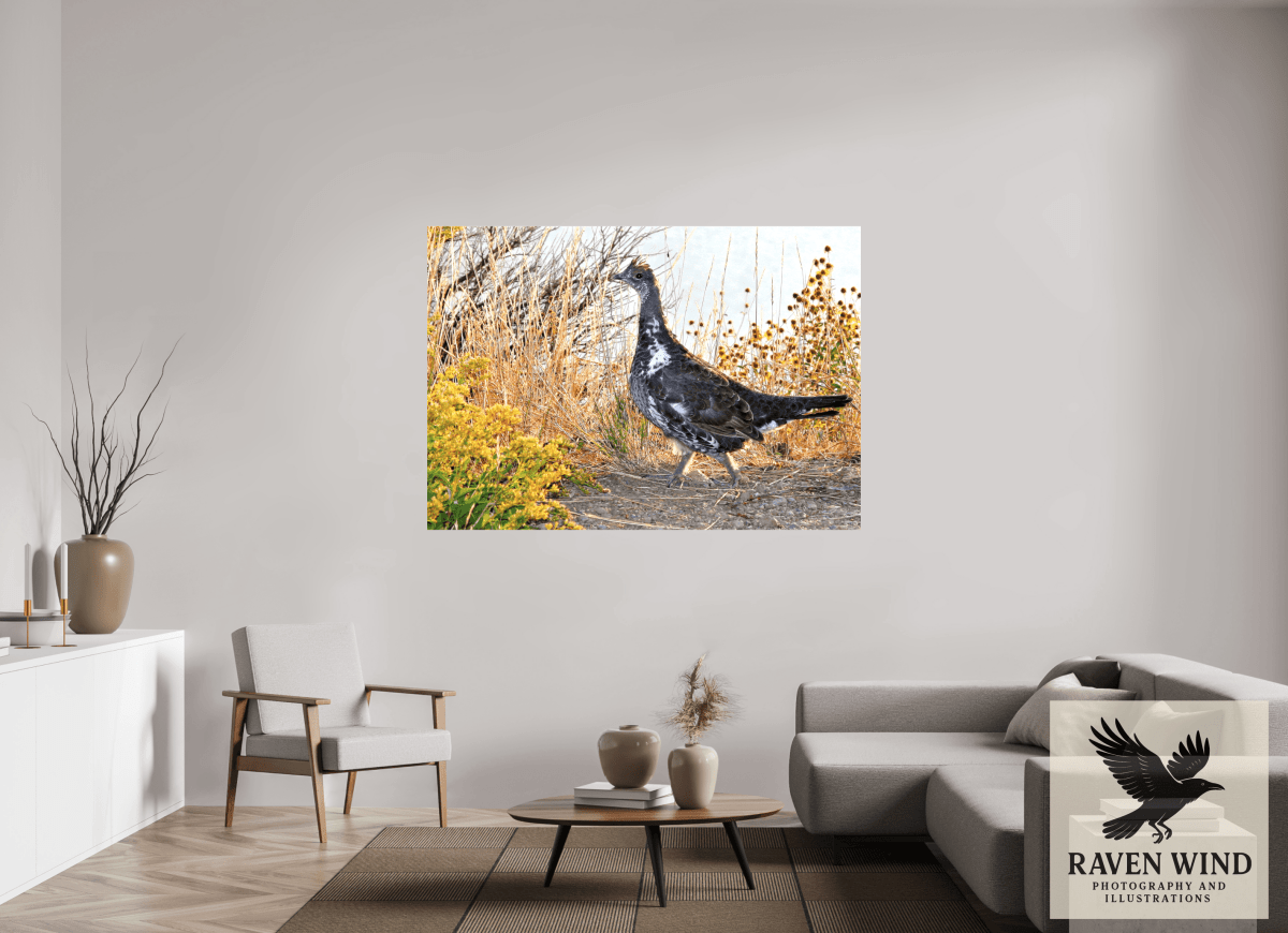 Raven Wind Photography & Illustrations-Grounded Grace - a Wild Grouse Fine Art Wildlife Print -