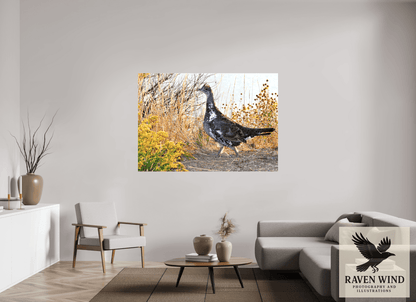 Raven Wind Photography & Illustrations-Grounded Grace - a Wild Grouse Fine Art Wildlife Print -