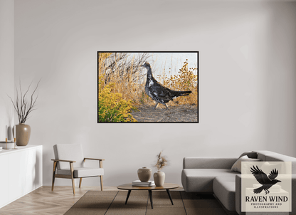 Raven Wind Photography & Illustrations-Grounded Grace - a Wild Grouse Fine Art Wildlife Print -