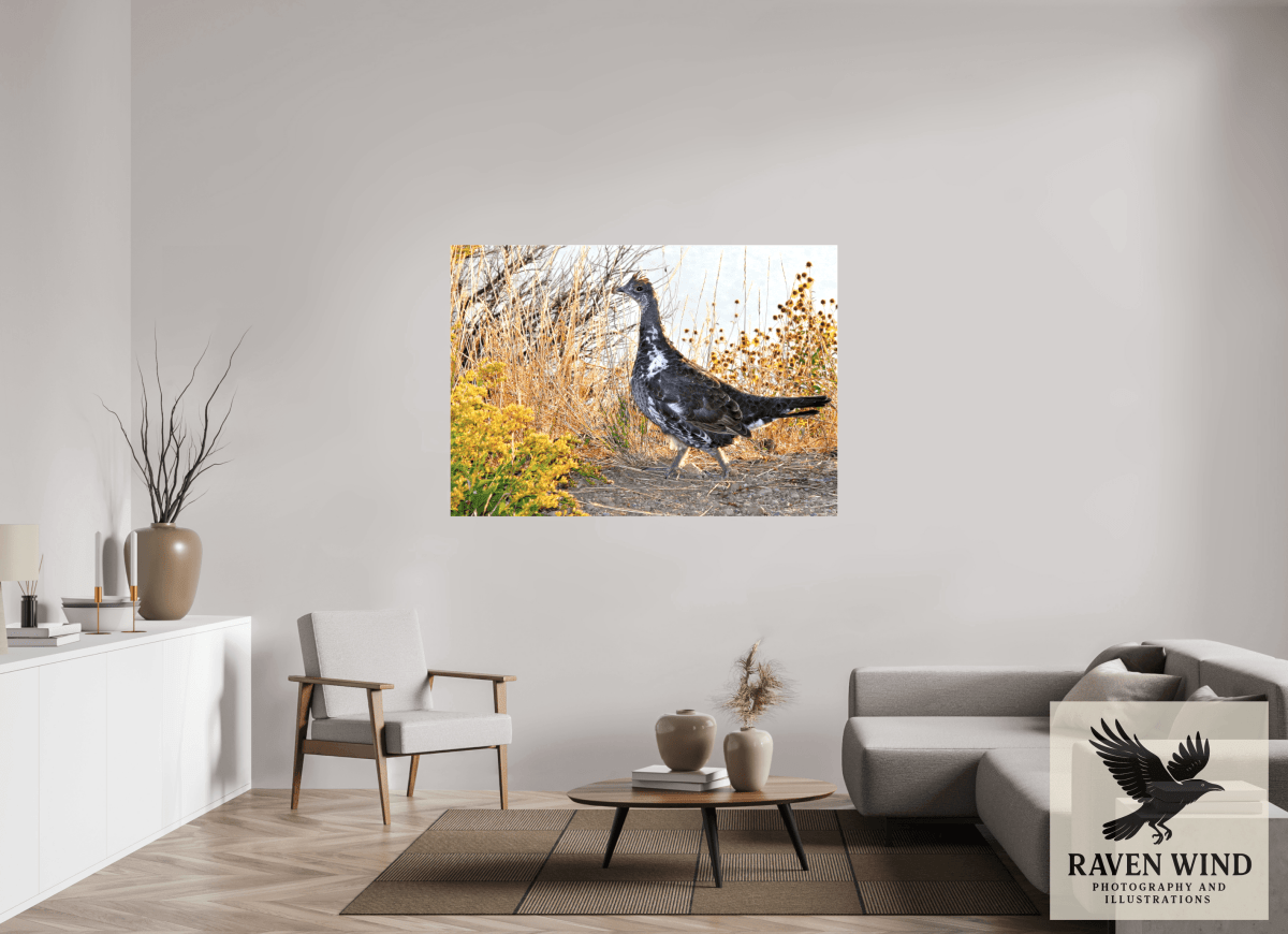 Raven Wind Photography & Illustrations-Grounded Grace - a Wild Grouse Fine Art Wildlife Print -