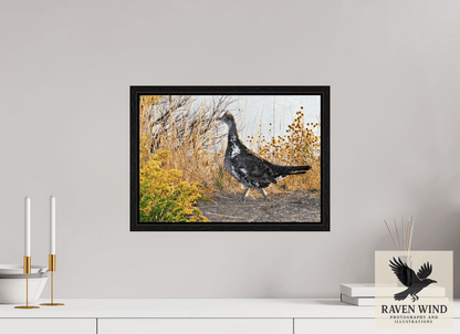 Raven Wind Photography & Illustrations-Grounded Grace - a Wild Grouse Fine Art Wildlife Print -
