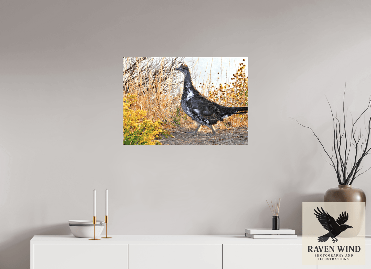 Raven Wind Photography & Illustrations-Grounded Grace - a Wild Grouse Fine Art Wildlife Print -
