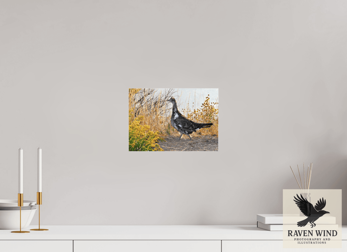 Raven Wind Photography & Illustrations-Grounded Grace - a Wild Grouse Fine Art Wildlife Print -