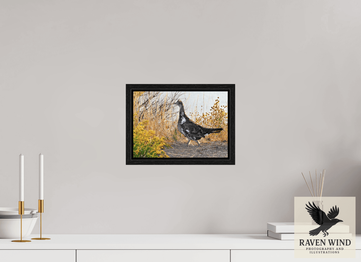 Raven Wind Photography & Illustrations-Grounded Grace - a Wild Grouse Fine Art Wildlife Print -