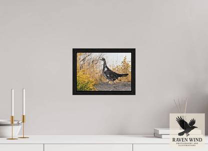 Raven Wind Photography & Illustrations-Grounded Grace - a Wild Grouse Fine Art Wildlife Print -