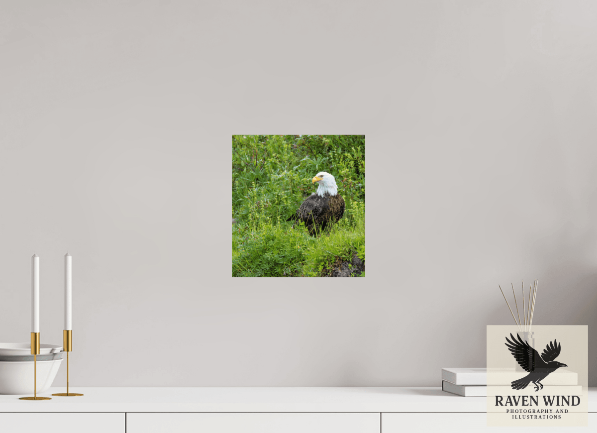 Raven Wind Photography & Illustrations-Grounded Majesty - Alaskan Bald Eagle Fine Art Wildlife Print -