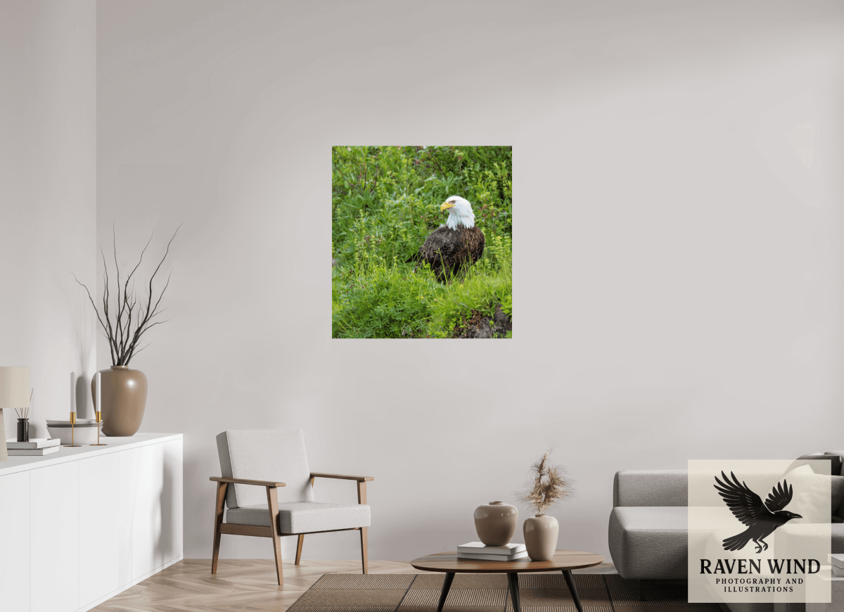 Raven Wind Photography & Illustrations-Grounded Majesty - Alaskan Bald Eagle Fine Art Wildlife Print -