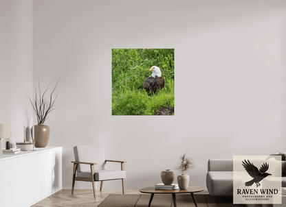 Raven Wind Photography & Illustrations-Grounded Majesty - Alaskan Bald Eagle Fine Art Wildlife Print -