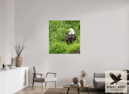 Raven Wind Photography & Illustrations-Grounded Majesty - Alaskan Bald Eagle Fine Art Wildlife Print -