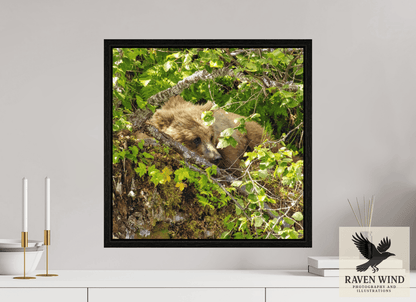 Raven Wind Photography & Illustrations-Hide and Peek Fine Art Wildlife Photography Print -
