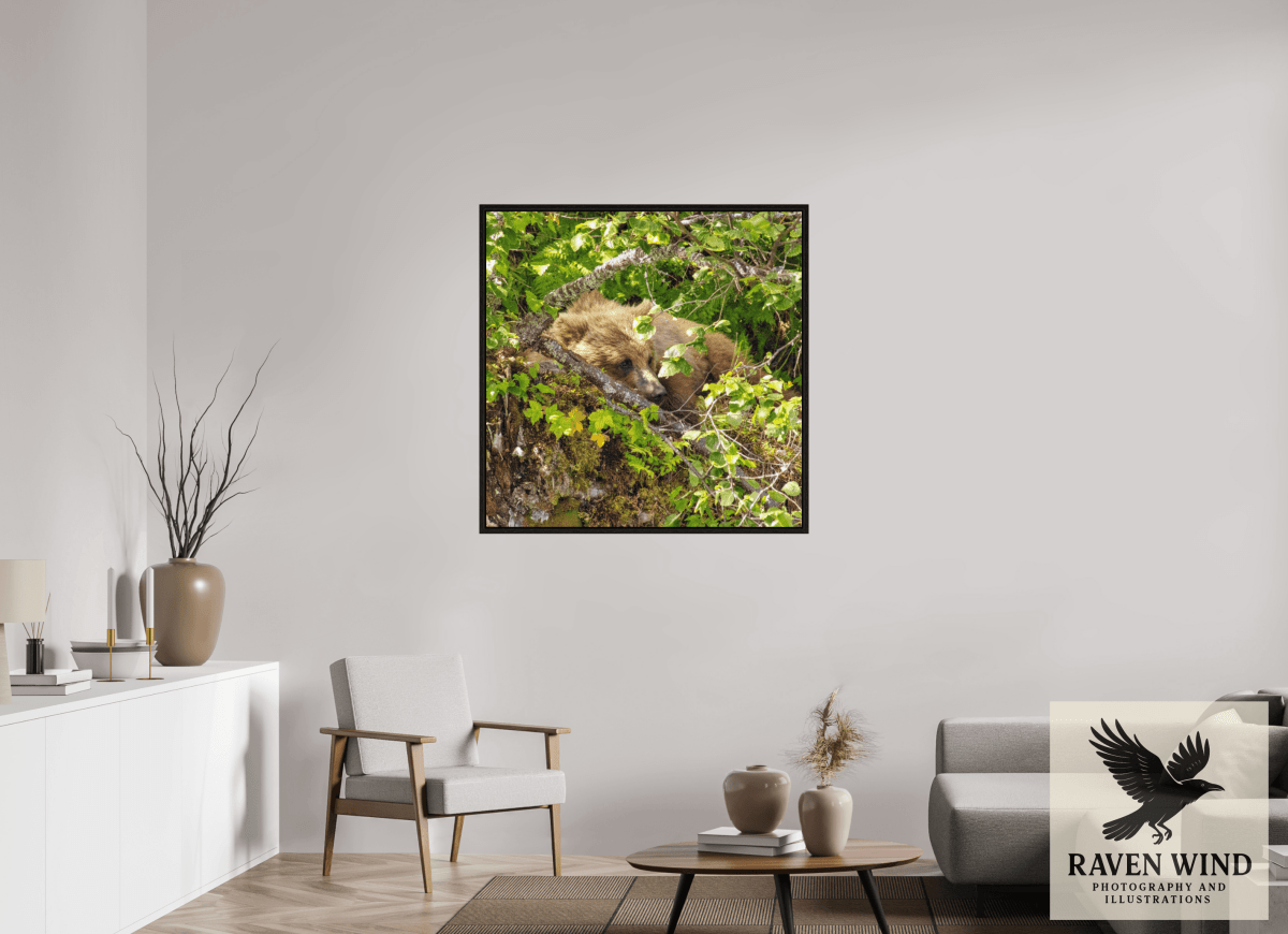 Raven Wind Photography & Illustrations-Hide and Peek Fine Art Wildlife Photography Print -