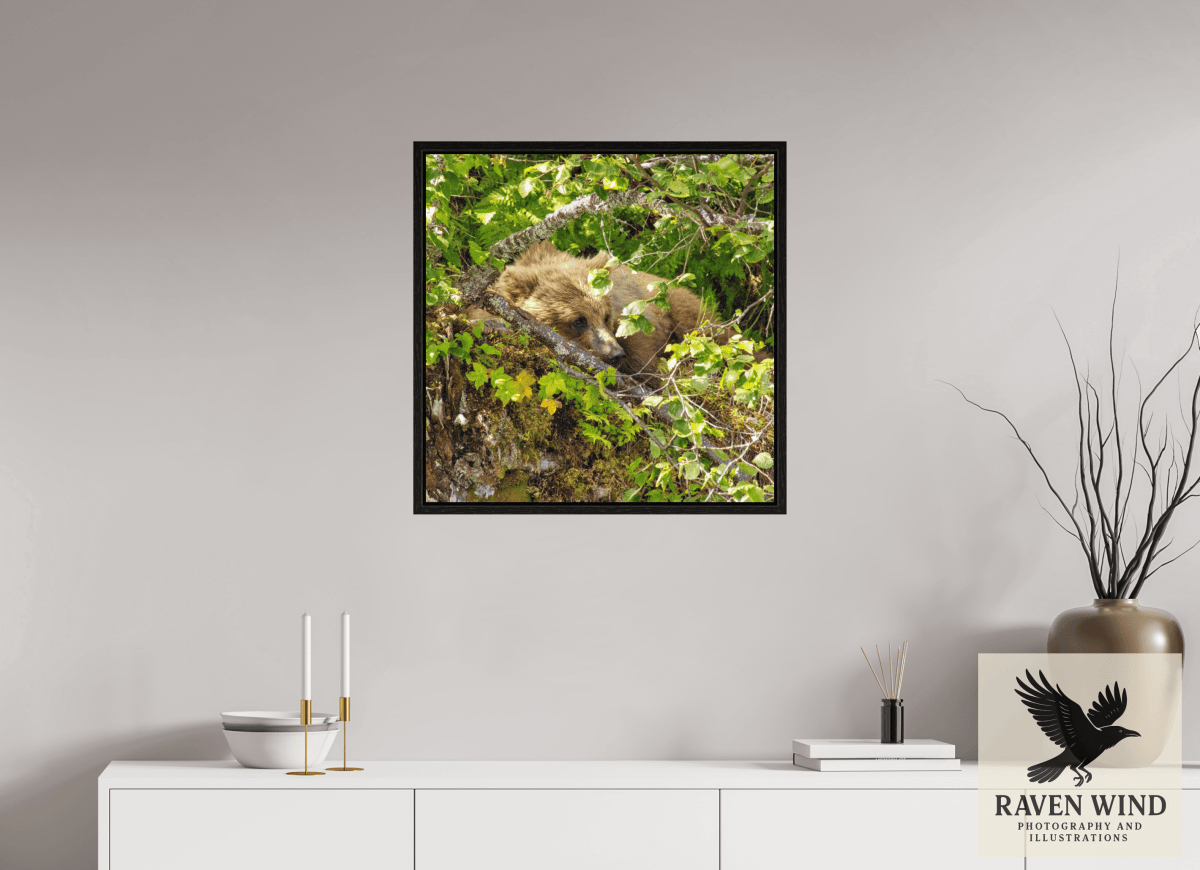Raven Wind Photography & Illustrations-Hide and Peek Fine Art Wildlife Photography Print -