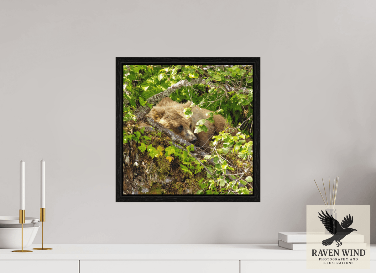 Raven Wind Photography & Illustrations-Hide and Peek Fine Art Wildlife Photography Print -