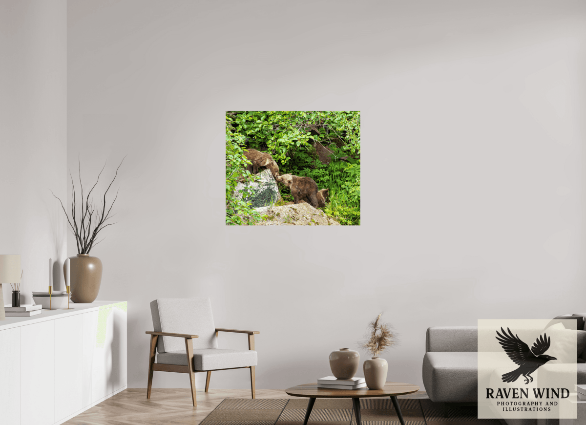 Raven Wind Photography & Illustrations-'Kissing Bear Cubs" Fine Art Wildlife Print -
