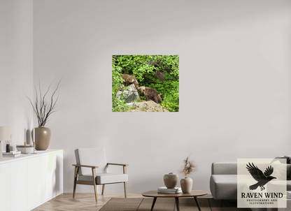 Raven Wind Photography & Illustrations-'Kissing Bear Cubs" Fine Art Wildlife Print -