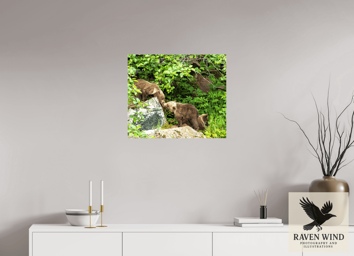 Raven Wind Photography & Illustrations-'Kissing Bear Cubs" Fine Art Wildlife Print -
