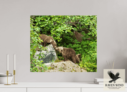 Raven Wind Photography & Illustrations-'Kissing Bear Cubs" Fine Art Wildlife Print -