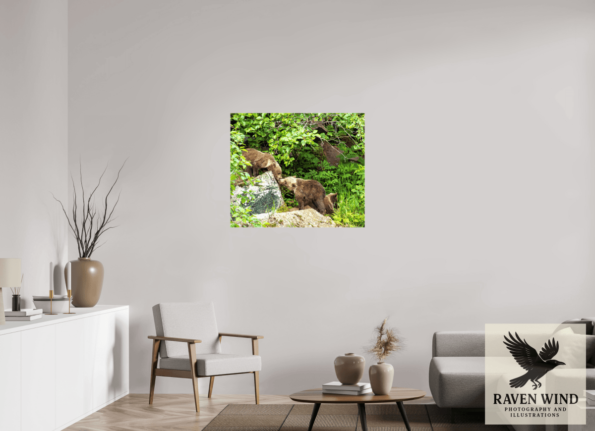 Raven Wind Photography & Illustrations-'Kissing Bear Cubs" Fine Art Wildlife Print -