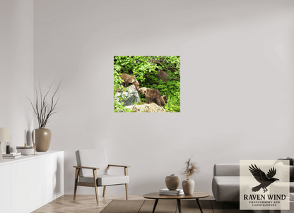 Raven Wind Photography & Illustrations-'Kissing Bear Cubs" Fine Art Wildlife Print -