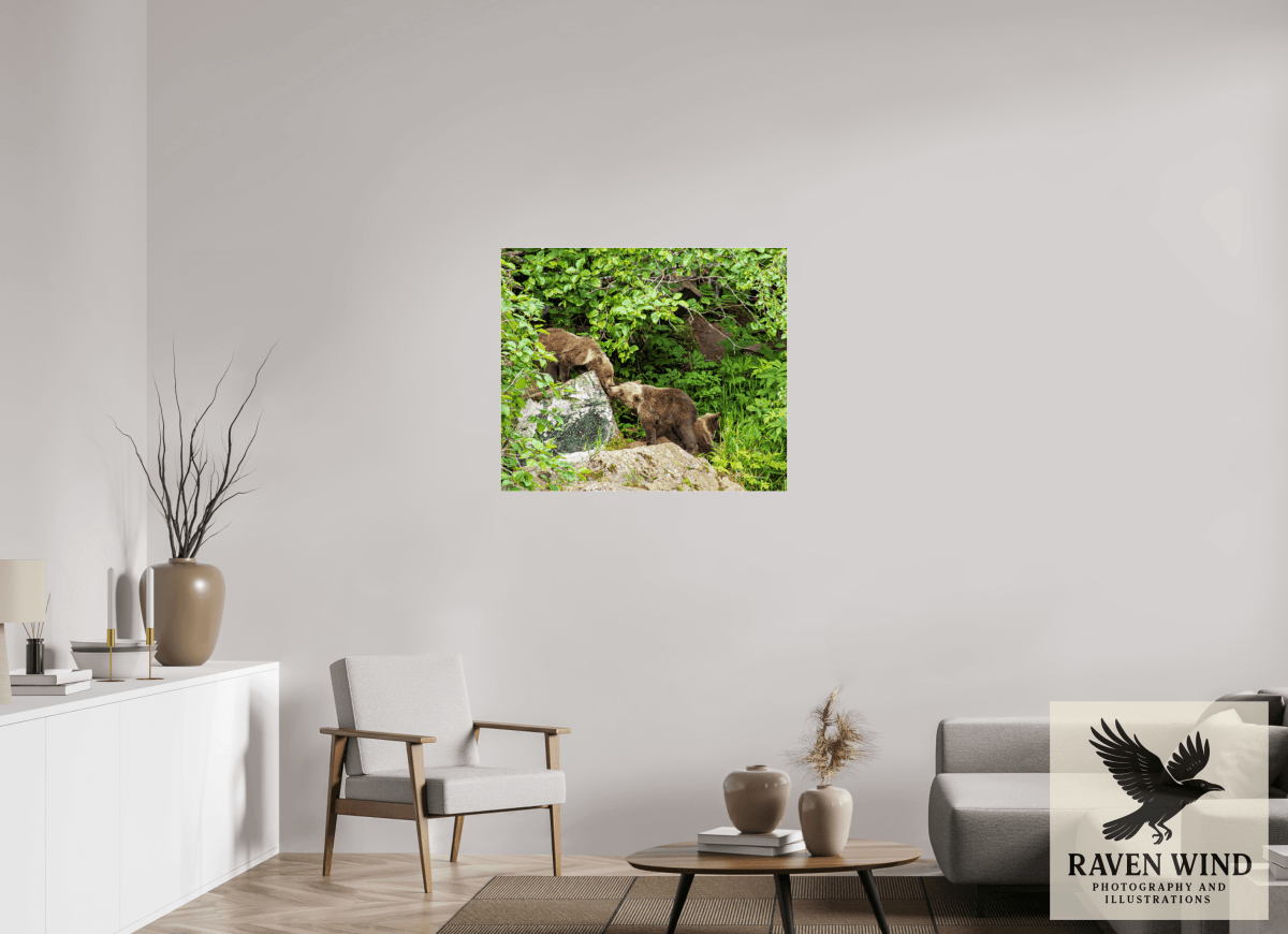 Raven Wind Photography & Illustrations-'Kissing Bear Cubs" Fine Art Wildlife Print -