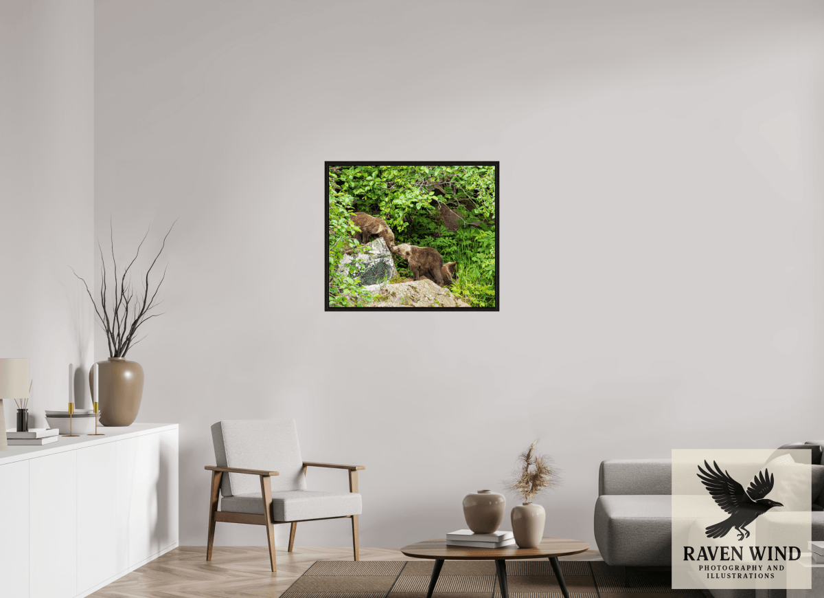 Raven Wind Photography & Illustrations-'Kissing Bear Cubs" Fine Art Wildlife Print -