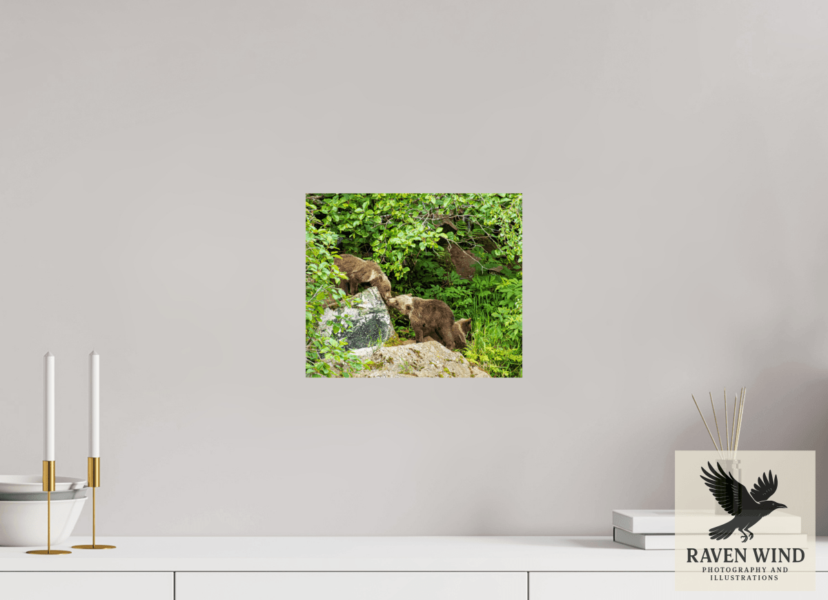 Raven Wind Photography & Illustrations-'Kissing Bear Cubs" Fine Art Wildlife Print -