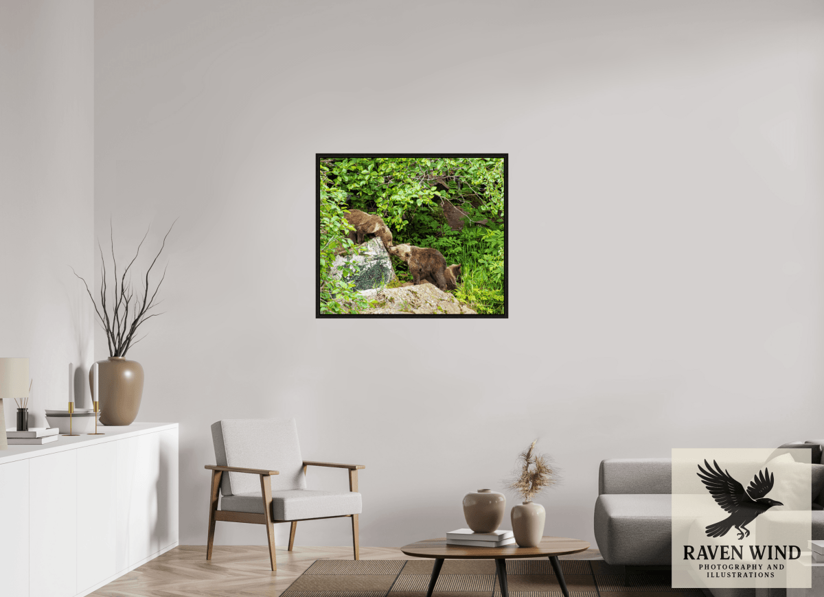 Raven Wind Photography & Illustrations-'Kissing Bear Cubs" Fine Art Wildlife Print -