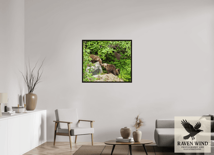 Raven Wind Photography & Illustrations-'Kissing Bear Cubs" Fine Art Wildlife Print -