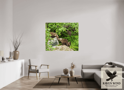 Raven Wind Photography & Illustrations-'Kissing Bear Cubs" Fine Art Wildlife Print -
