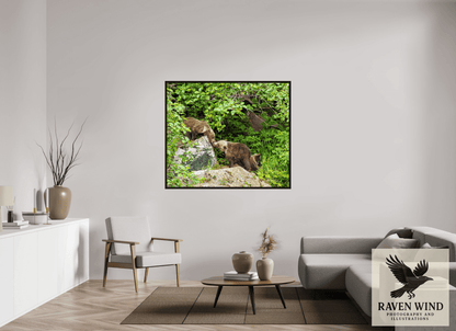Raven Wind Photography & Illustrations-'Kissing Bear Cubs" Fine Art Wildlife Print -