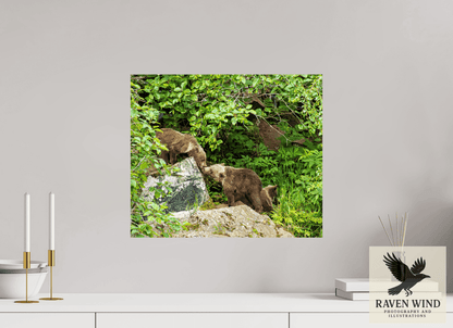 Raven Wind Photography & Illustrations-'Kissing Bear Cubs" Fine Art Wildlife Print -