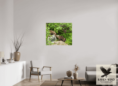 Raven Wind Photography & Illustrations-'Kissing Bear Cubs" Fine Art Wildlife Print -