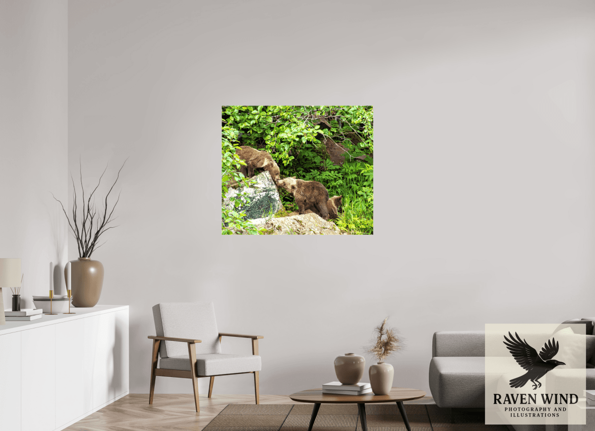 Raven Wind Photography & Illustrations-'Kissing Bear Cubs" Fine Art Wildlife Print -