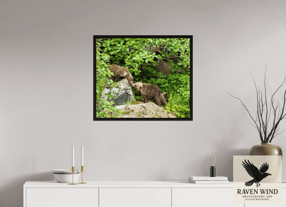 Raven Wind Photography & Illustrations-'Kissing Bear Cubs" Fine Art Wildlife Print -