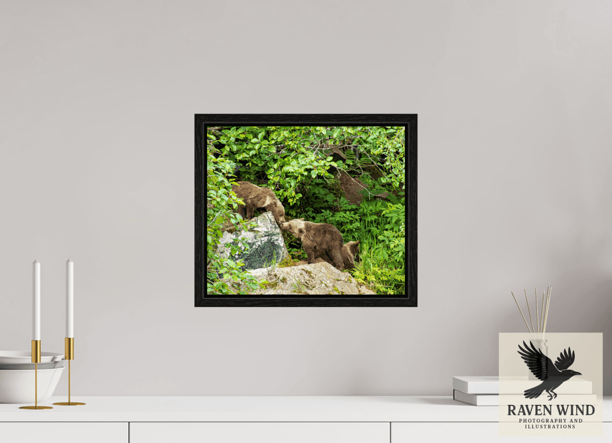 Raven Wind Photography & Illustrations-'Kissing Bear Cubs" Fine Art Wildlife Print -