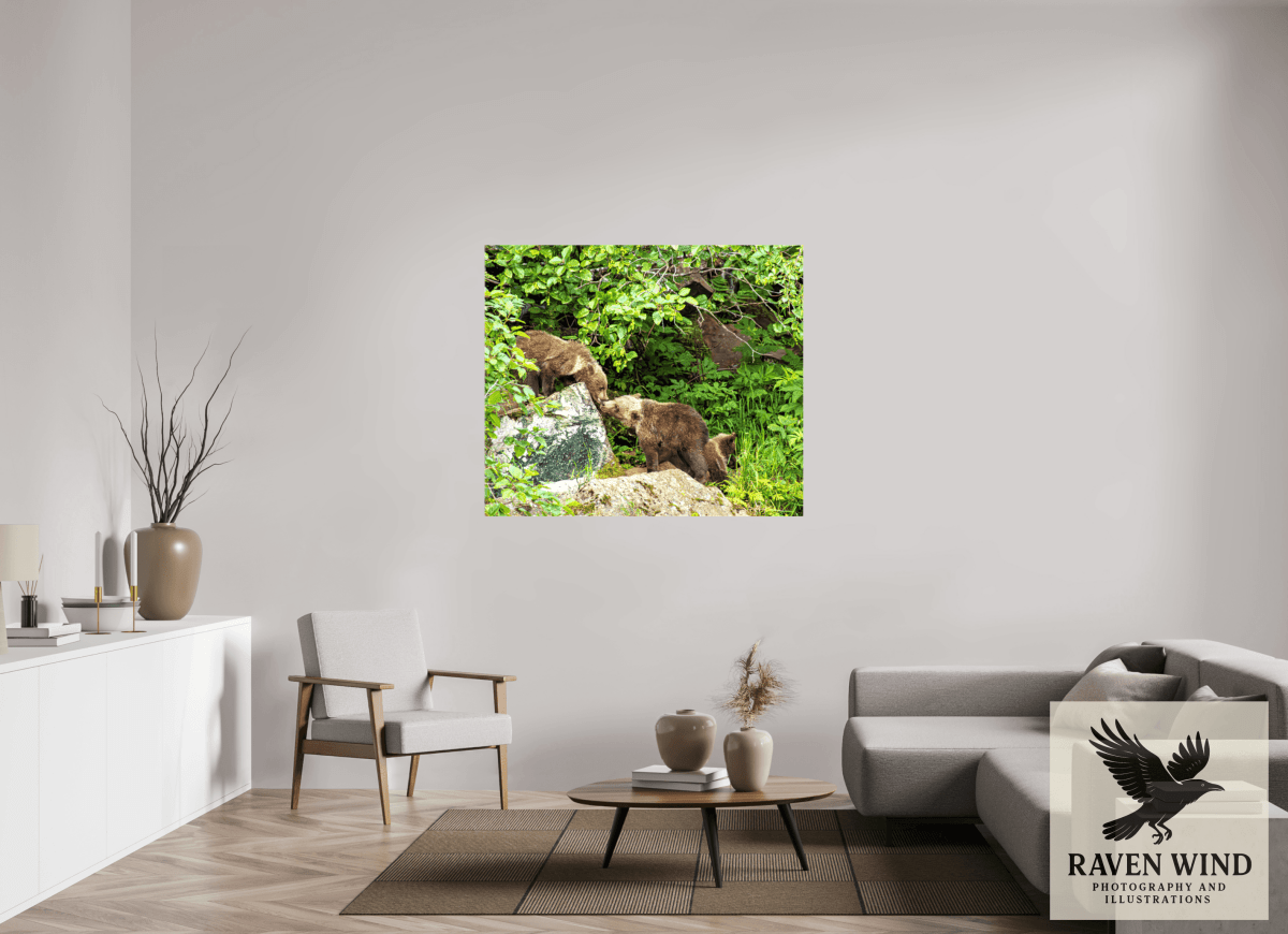 Raven Wind Photography & Illustrations-'Kissing Bear Cubs" Fine Art Wildlife Print -