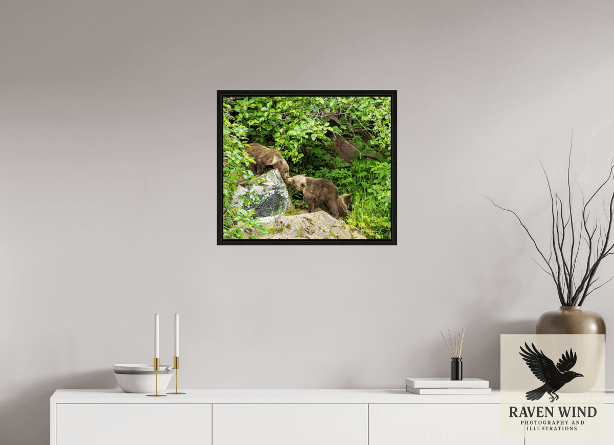 Raven Wind Photography & Illustrations-'Kissing Bear Cubs" Fine Art Wildlife Print -