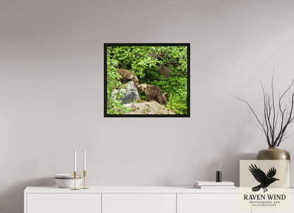 Raven Wind Photography & Illustrations-'Kissing Bear Cubs" Fine Art Wildlife Print -