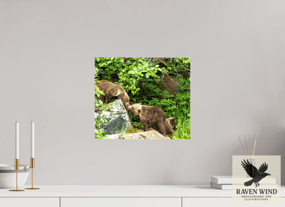 Raven Wind Photography & Illustrations-'Kissing Bear Cubs" Fine Art Wildlife Print -