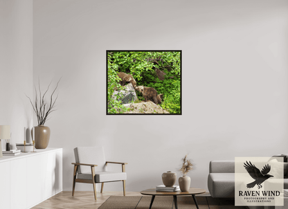 Raven Wind Photography & Illustrations-'Kissing Bear Cubs" Fine Art Wildlife Print -