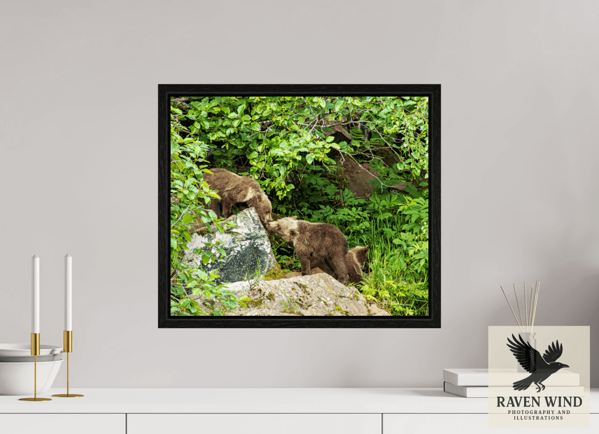 Raven Wind Photography & Illustrations-'Kissing Bear Cubs" Fine Art Wildlife Print -