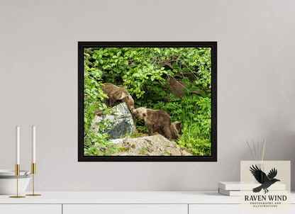 Raven Wind Photography & Illustrations-'Kissing Bear Cubs" Fine Art Wildlife Print -
