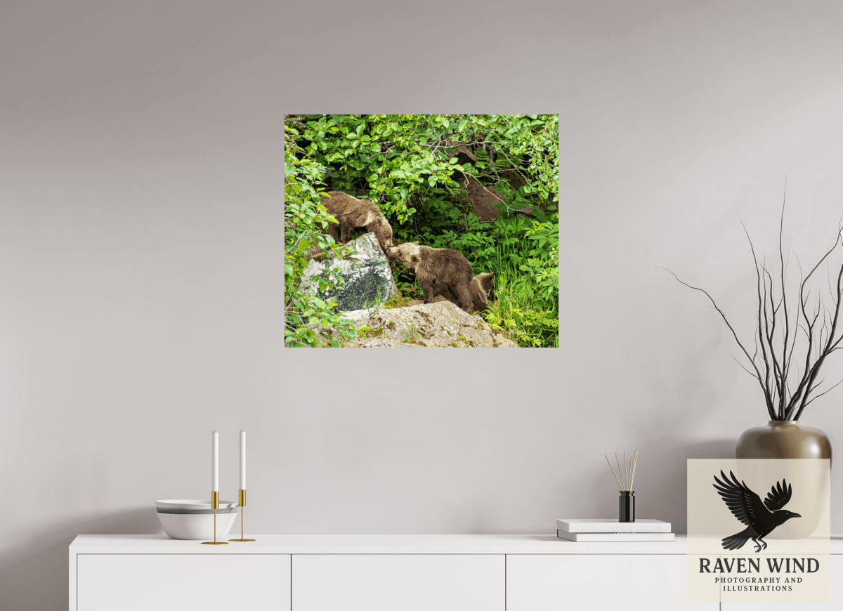 Raven Wind Photography & Illustrations-'Kissing Bear Cubs" Fine Art Wildlife Print -