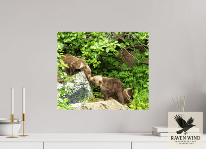 Raven Wind Photography & Illustrations-'Kissing Bear Cubs" Fine Art Wildlife Print -