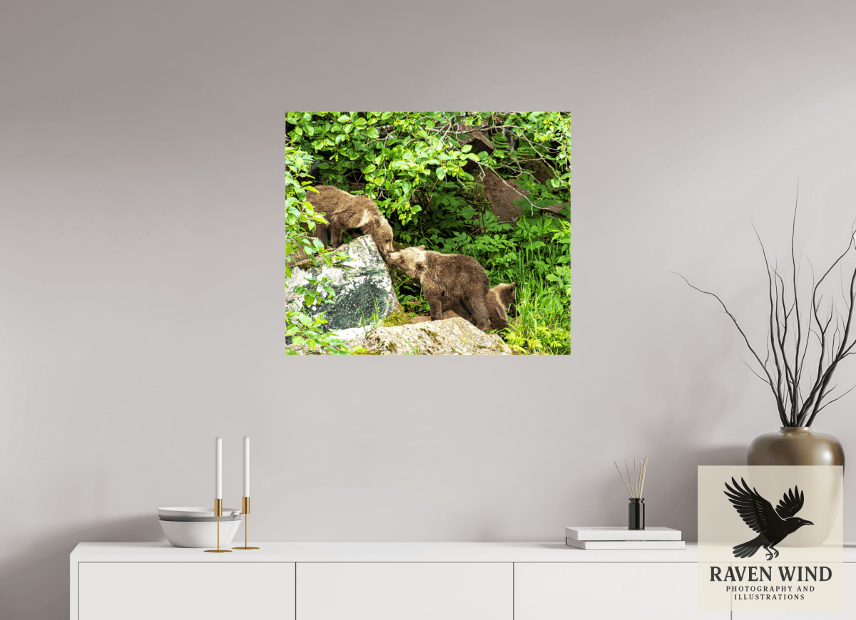Raven Wind Photography & Illustrations-'Kissing Bear Cubs" Fine Art Wildlife Print -